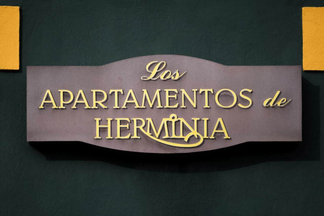 Apartamentos De Herminia Manzaneda  Екстериор снимка