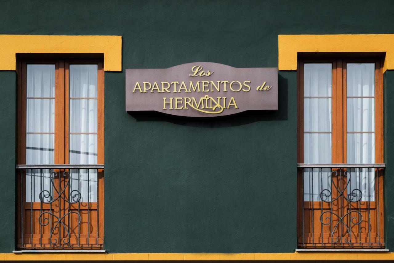 Apartamentos De Herminia Manzaneda  Екстериор снимка